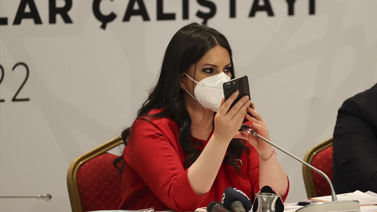 Cumhurbaşkanı Erdoğan, AK Parti'de Romanlara yönelik çalıştayda katılımcılara telefonda seslendi