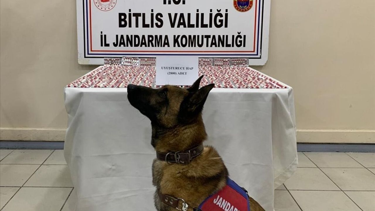 Bitlis'te 2 bin 800 sentetik uyuşturucu hap ele geçirildi