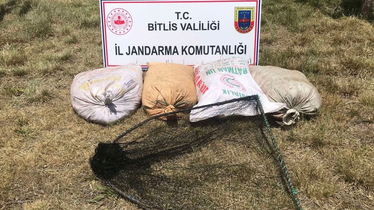 Bitlis'te kaçak avlanılan 2 ton 350 kilogram inci kefaline el konuldu
