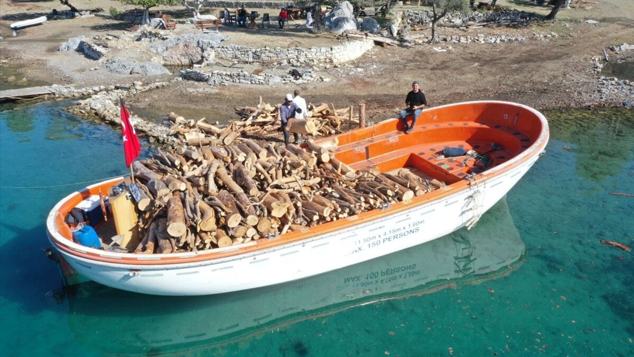 Muğla'da karadan ulaşımın olmadığı noktalarda kesilen ağaçların tekneyle taşındığı açıklandı