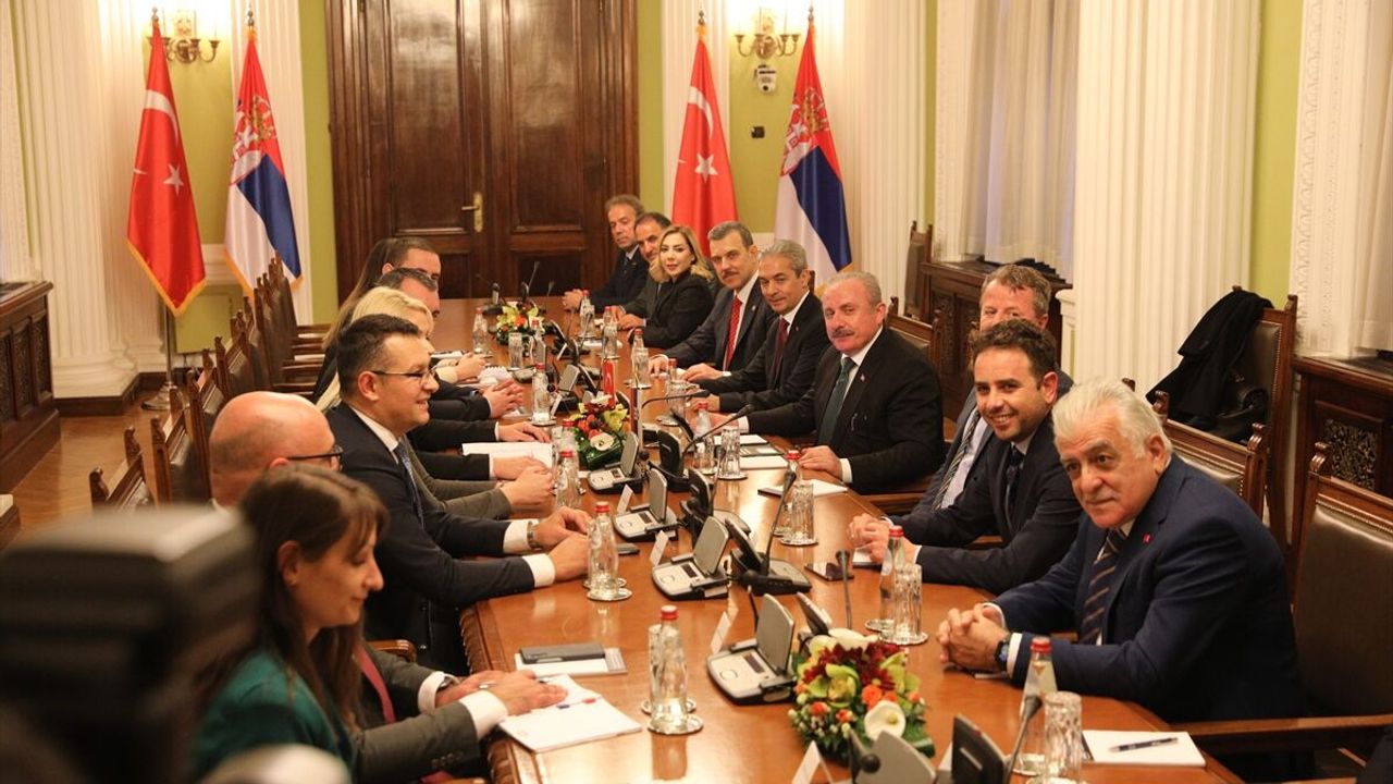 TBMM Başkanı Şentop, Sırbistan Meclis Başkanı Orliç ile bir araya geldi