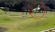 Eğitim Uçağının Golf Sahasına Zorunlu İnişi Kamerada!