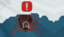 Kırım Kongo Kanamalı Ateşi (KKKA) nedir?