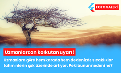 Uzmanlardan korkutan rapor! Hem karada hem denizde...