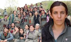 PKK'nın sözde sorumlusu etkisiz hale getirildi