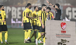İstanbulspor ve Sarıalioğlu PFDK'ye sevk edildi