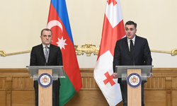 Azerbaycan Dışişleri Bakanı Ceyhun Bayramov, Gürcistan Dışişleri Bakanı İlia Darçiaşvili ile görüştü