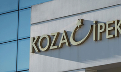 Koza Holding dahil 12 şirket Türkiye Varlık Fonu'na devredildi