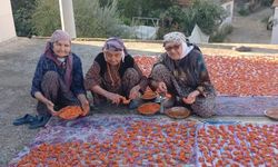 Tarhana yediler, 90’ı gördüler!