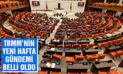 Yeni haftada TBMM'nin gündemi yoğun olacak!