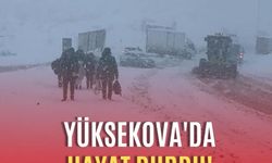 Yüksekova'da hayat durdu! Vatandaşlar araçlarını bıraktı, yürüyerek evlerine gitti