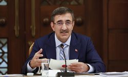 Cumhurbaşkanı Yardımcısı Yılmaz: Çözüm yolu çatışma değil, diplomasidir