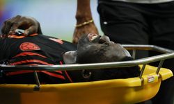 Davinson Sanchez’den haber var