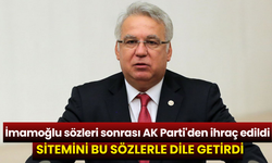 İmamoğlu sözleri sonrası AK Parti'den ihraç edildi! Sitemini bu sözlerle dile getirdi