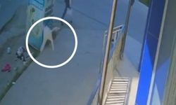 Tekirdağ’da kahreden olay: 1 yaşındaki bebek 5. kattan düşerek hayatını kaybetti