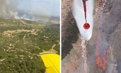 İzmir Foça'da yangın: Ormanlık alana sıçradı