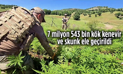 7 milyon 543 bin kök kenevir ve skunk ele geçirildi