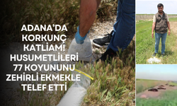 Husumetlileri 77 koyununu katletti!