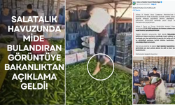 Salatalık havuzunda mide bulandıran görüntüye Bakanlıktan açıklama!