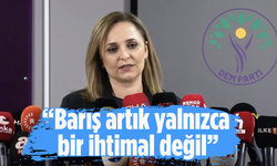 PKK’nın fesih kararı sonrası DEM Parti'den flaş açıklama: Barış artık yalnızca bir ihtimal değil