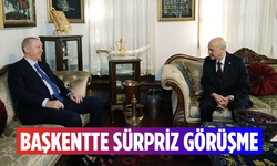 Cumhurbaşkanı Erdoğan, Bahçeli ile görüşecek