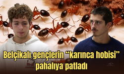 "Karınca kaçakçılarına” binlerce dolar ceza