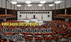 Vekil sayısı 592'ye düştü: DEM Parti yeni Başkanvekili belirleyecek
