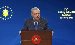 Cumhurbaşkanı Erdoğan açıkladı! Tarıma yapay zekâ desteği