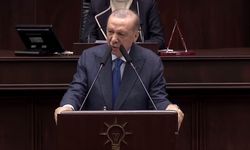 Cumhurbaşkanı Erdoğan: MİT süreci titizlikle takip edecek