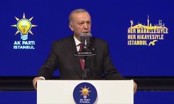 Cumhurbaşkanı Erdoğan: Ahtapotun kolları bir bir deşifre oluyor