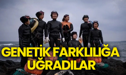 Güney Kore'nin suda yaşayan kadınları