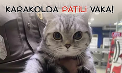 Polisleri ısırdı, sabıka fotoğrafı yayılınca sahibi bulundu