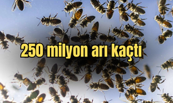 Devrilen kamyon dehşet saçtı!