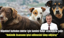 Köpekleri katleden doktor için Samimi Haber aracılığıyla çağrı “Hekimlik lisansının iptal edilmesini talep ediyoruz”