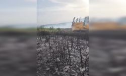 İzmir Foça'daki orman yangını kontrol altına alındı