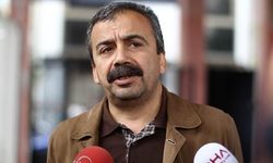CHP'li Emir'den Sırrı Süreyya Önder'e 'suikast girişimi' açıklaması: Şikayetçi olmayacağını söylemişti