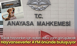 Sokak hayvanları için açılan dava yarın görüşülecek! Hayvanseverler AYM önünde buluşuyor