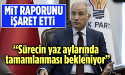 Efkan Ala, MİT raporunu işaret etti! “Sürecin yaz aylarında tamamlanması bekleniyor”