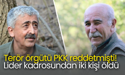 Terör örgütü PKK reddetmişti! Lider kadrosundan iki kişi öldü