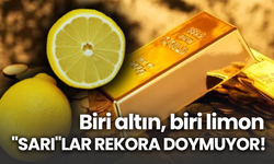 Biri altın, biri limon  "SARI"LAR REKORA DOYMUYOR!