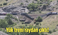 Yük treni raydan çıktı!