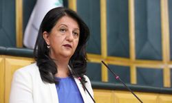 DEM Parti, yeni Meclis Başkanvekili'ni belirledi