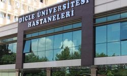 Bismil'de akraba dehşeti: 1 ölü, 1 yaralı