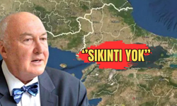 Ege'deki 5.2 büyüklüğündeki depremin ardından Ahmet Ercan'dan açıklama