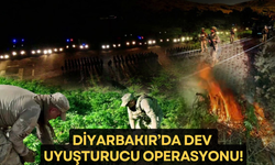 Diyarbakır'da dev uyuşturucu operasyonu!