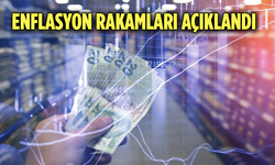 Mayıs ayı enflasyon rakamları açıklandı!