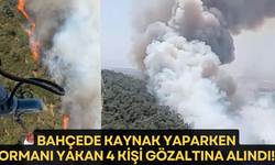 İzmir'de ormanlık alanda yangın!
