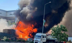 Kocaeli'nde palet fabrikasında yangın!