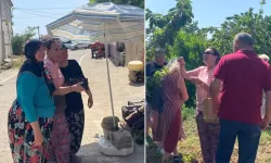 Perihan Savaş yıllar sonra  kiraz hasadına katıldı