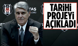 Serdal Adalı, Dikilitaş projesini açıkladı